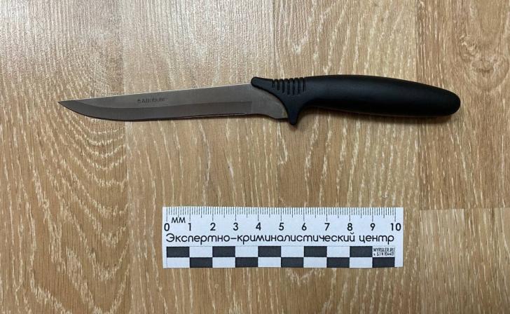 В курской школе № 40 ученик ударил одноклассника ножом на уроке