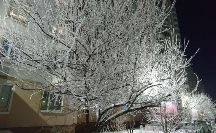 В Курской области резко похолодает в ночь на 24 декабря