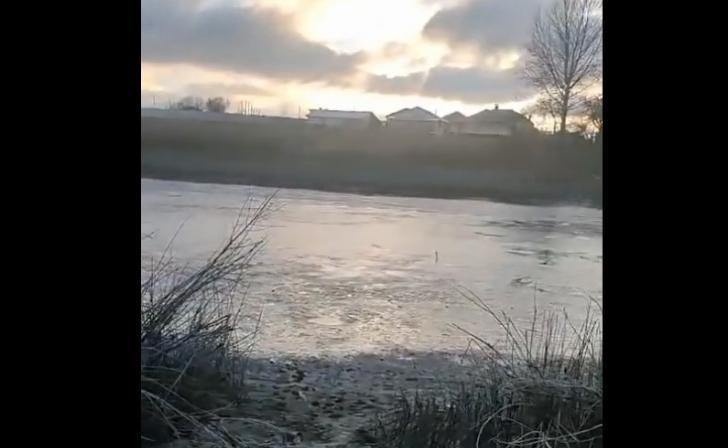 В Курском районе спущенный пруд восстановят к весне