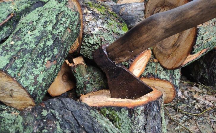 В Курске мужчину отправили в колонию-поселение за угрозу убийством родной матери