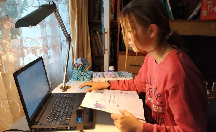 Более 7 тыс.жителей Курской области проголосовали за подключение сёл к интернету