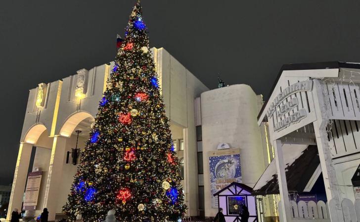 В Курске 31 декабря будет морозно и снежно