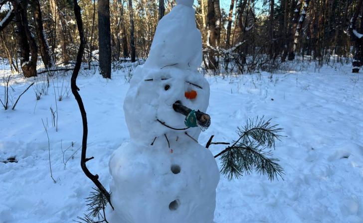 В Курской области 5 января ожидается снег и до −11 °C