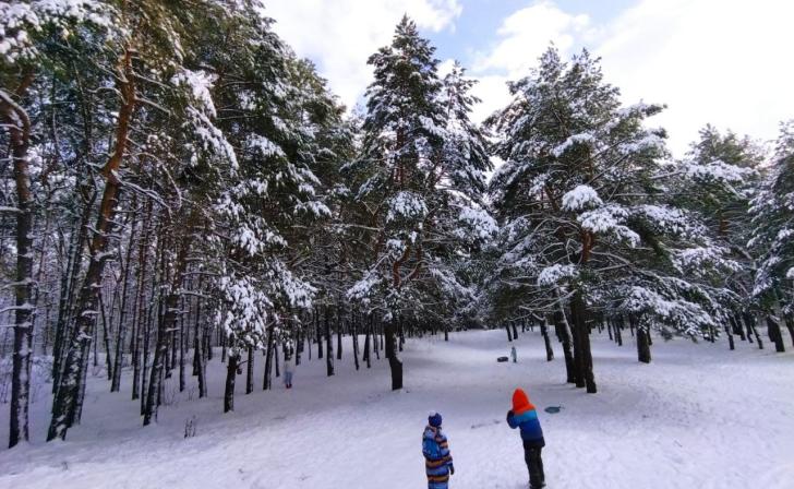 Морозы сохранятся в Курской области до конца недели