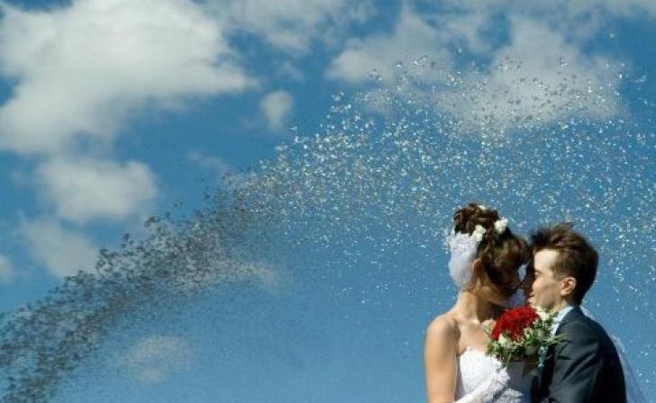 В Курске самым популярным месяцем для свадеб стал август