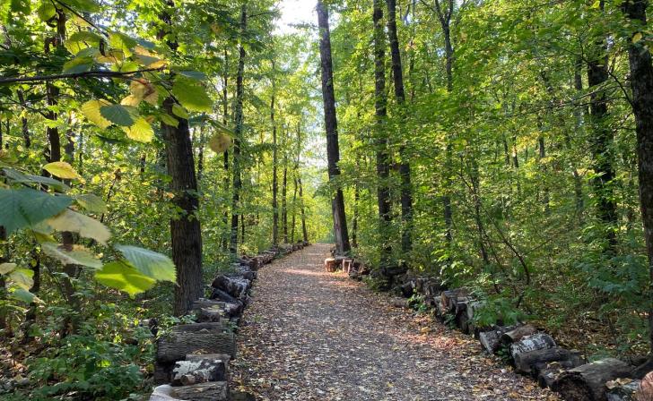 Воронежский инвестор ответил на критику курян о целесообразности строительства парка альпак на Боевке