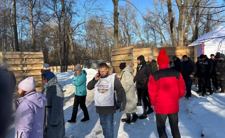 Парк альпак могут убрать с главной аллеи старой Боевки в Курске