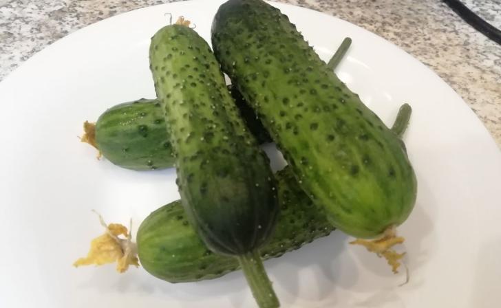 В Курской области огурцы за неделю подорожали на 9,5%