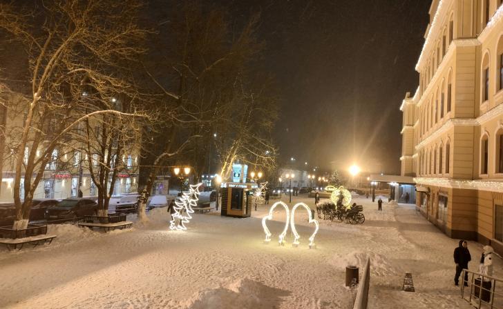 В Курской области из-за морозов колледжи и техникумы тоже временно  перейдут на дистант
