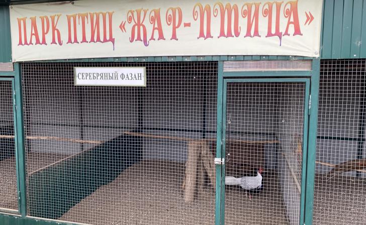Парк птиц в Курчатове приобретал корма без документов