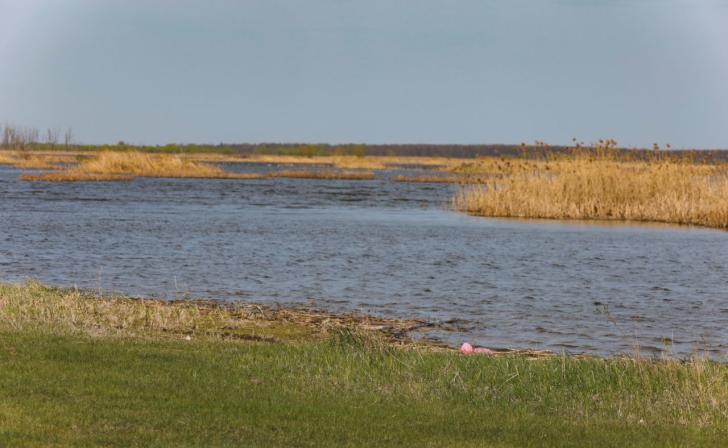Курское водохранилище планируют реконструировать