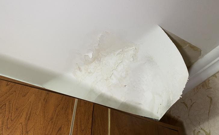 Куряне оставили 175 обращений по поводу протекающих крыш