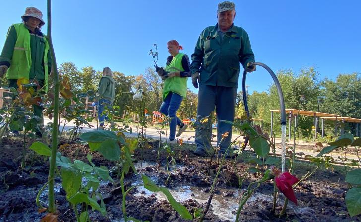 Чего не хватает курскому озеленению, кроме денег