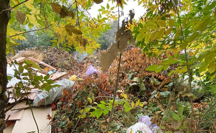 В Курской области планируется ликвидация трех свалок в районах