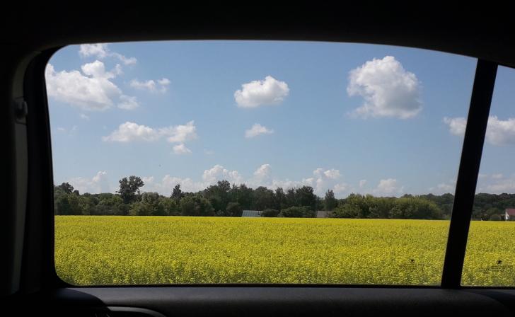 В Курской области почти два месяца будут проходить Дни защиты от экологической опасности