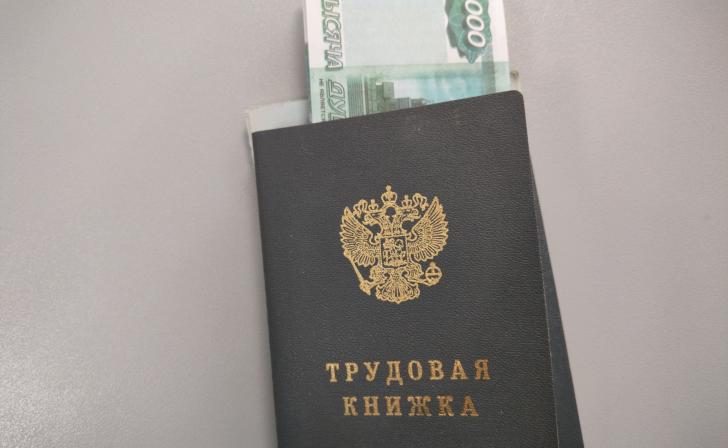 В Курской области средняя зарплата за январь составила 80,6 тыс.рублей