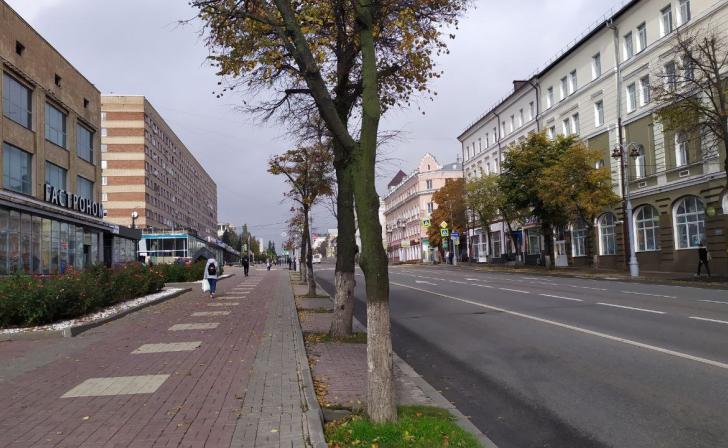 В Курске глава минприроды региона белит деревья, чтобы уберечь их от вредителей