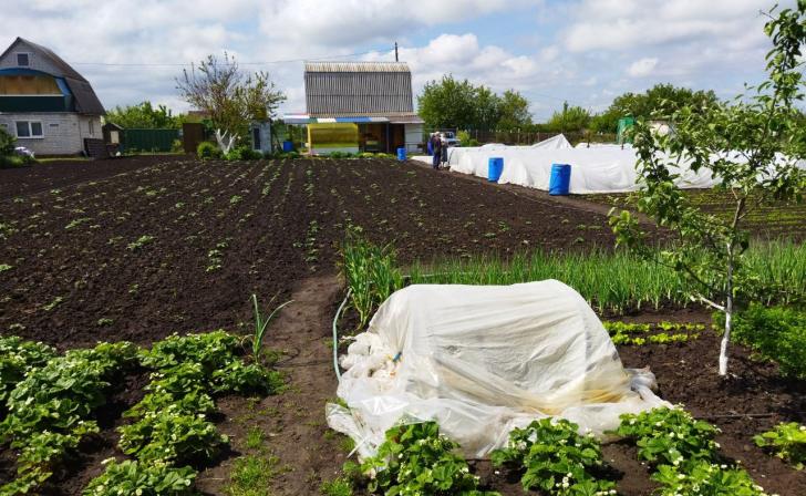 Мэр Курска опроверг запрет дачникам заниматься огородничеством у жилой застройки