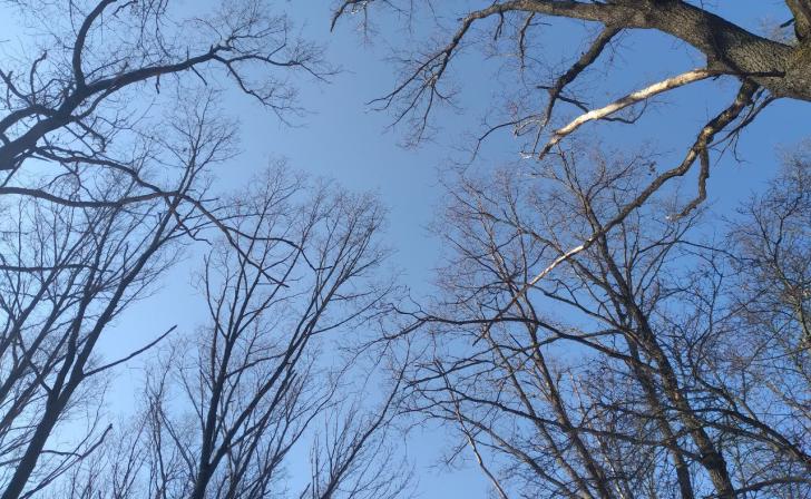 За сутки в Курской области сбито 32 украинских беспилотника