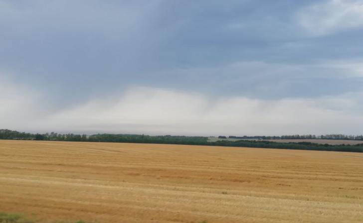 В Курской области 119 га сельхозугодий расчистили от бурьяна