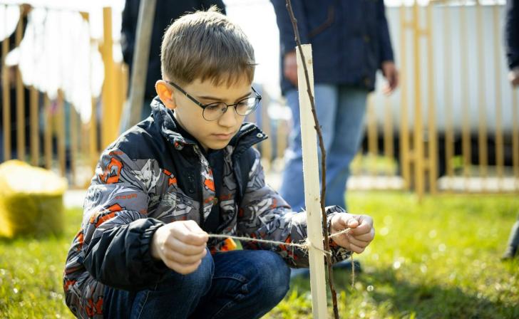 В Курске в сквере «Интернациональный» высадили 72 куста сирени в память о войне