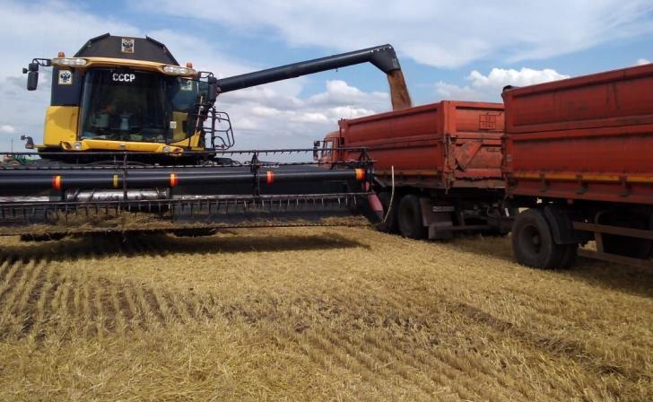 Курские власти внесли изменения в закон для помощи аграриям из приграничья