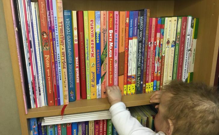 Бастрыкин поручил проверить книги Григория Остера