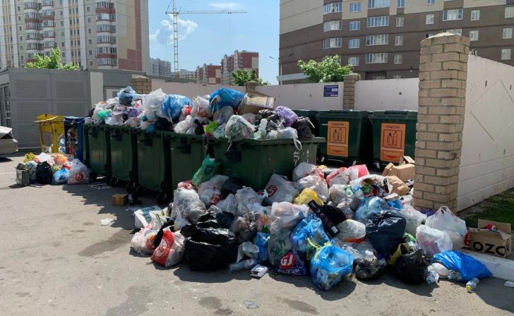 В Курске Минприроды выявили несколько проблемных мусорных площадок