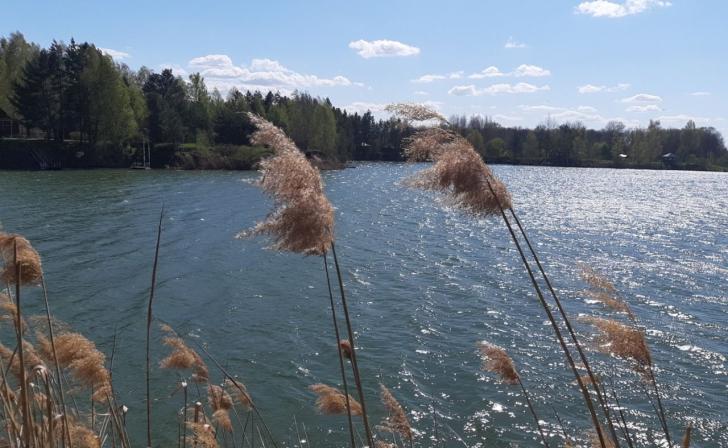 Купальный сезон в Курской области начнётся 1 июня.