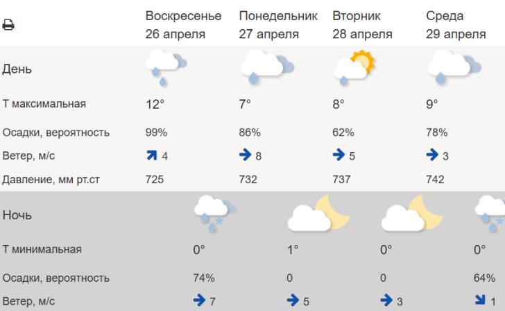 В Курской области снегопада, как в Москве, не прогнозируют