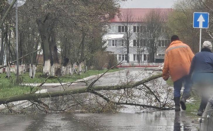 Над Курской областью пронёсся ураган