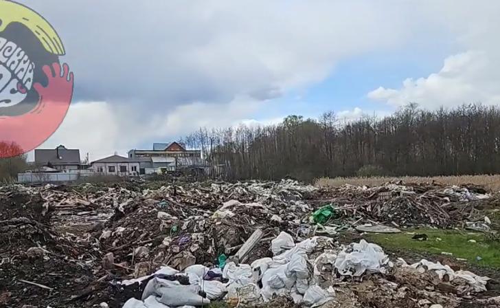 Курский общественник обнаружил огромную свалку в Сеймском округе