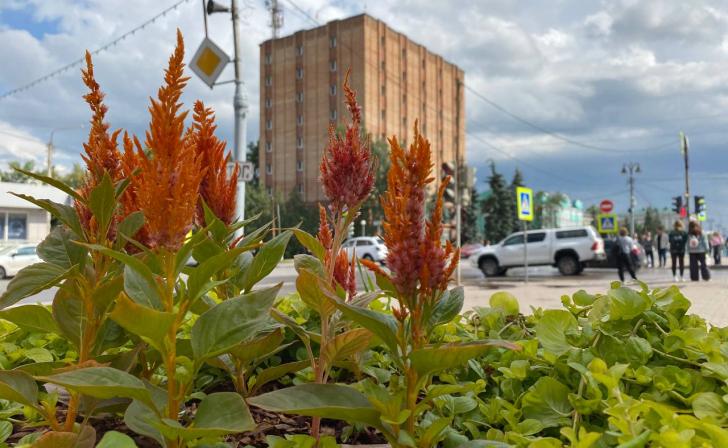 В Курске «Зеленстрой» высаживает цветы на улице Ленина
