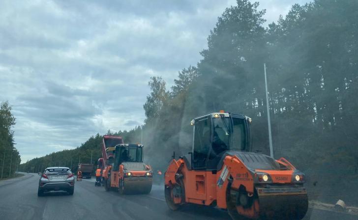 Куряне просят сделать дороги и убрать аварийные деревья