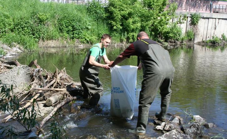 В Курске возле «Утиного острова» вручную почистили реку