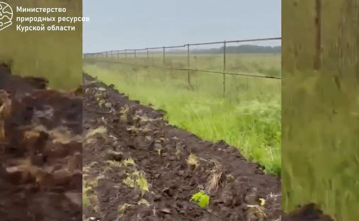 Зелёную защиту создают вокруг курского полигона ТБО в Чаплыгине