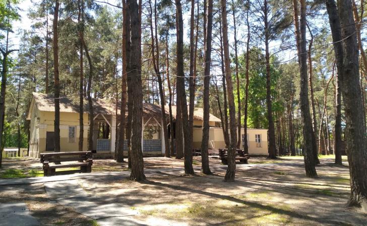 В Орловской области средняя стоимость путевки в детский лагерь составила 38 тысяч рублей