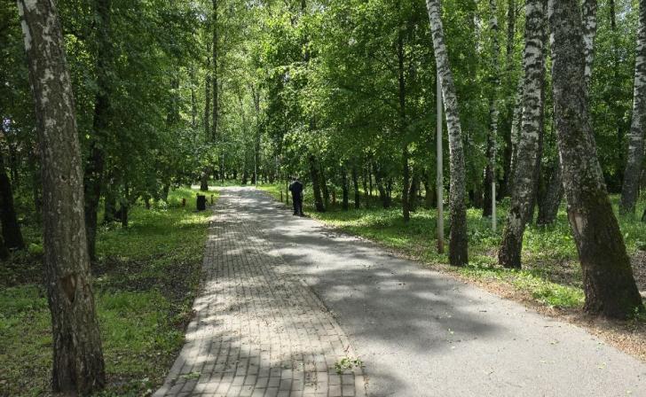 В Железногорске скандальный участок леса передали под благоустройство, а не в аренду под магазин