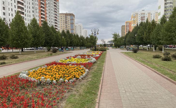 12 июня в Курской области завершится голосование за объекты благоустройства на 2027 год