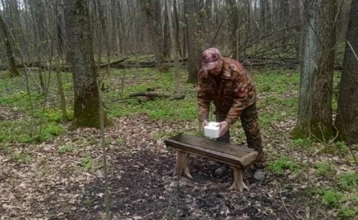 В Курске Минприроды рассказало о недельных рейдах и поддержке зверей
