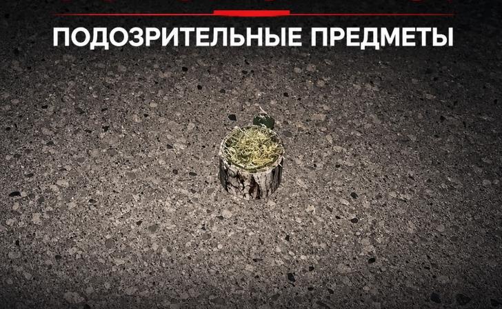 В Рыльском районе противник применил дистанционное минирование