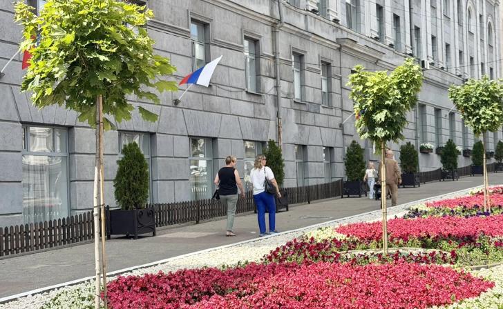 На улице Ленина в Курске высаживают 14 штамбовых клёнов