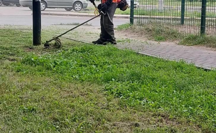 В Курске за неделю скосили больше 12 гектаров травы