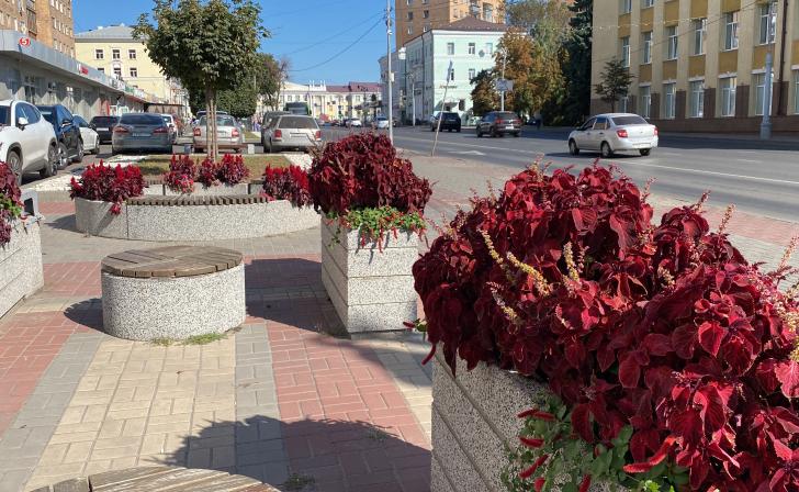 Курские власти выделили на благоустройство ул.Ленина 35,7 млн рублей