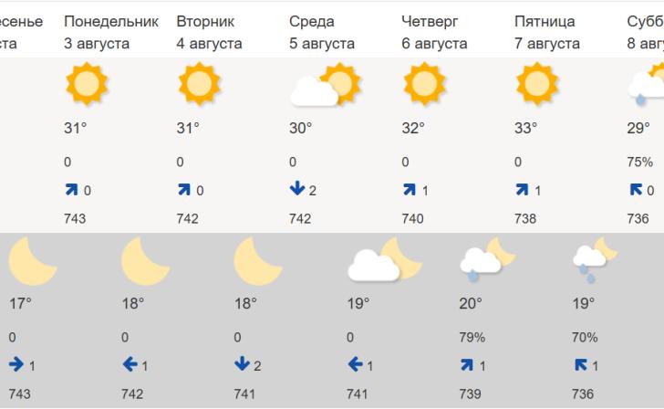 На следующей неделе жара в Курской области усилится