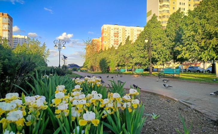 В Курске продолжается покос травы и высадка цветов