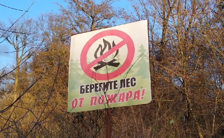 В Курской области продлен запрет на посещение лесов В Курской области продлен запрет на посещение лесов