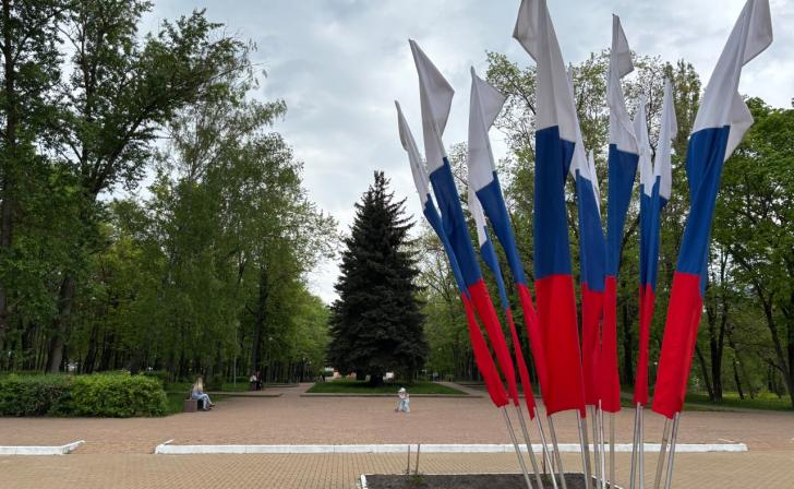 В Курске на флаги ко Дню города потратили 750 тыс.рублей рублей