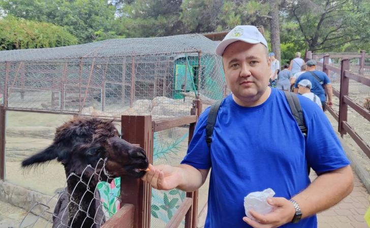Бывший депутат просит вернуть парк альпак в Курск Бывший депутат просит вернуть парк альпак в Курск