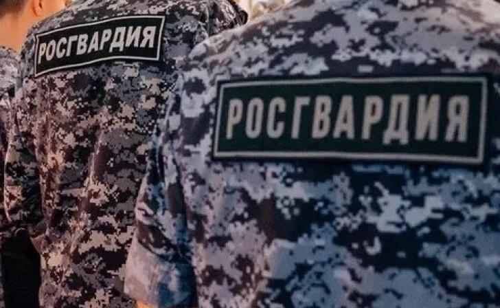 В Курской области за неделю изъяли 27 единиц оружия